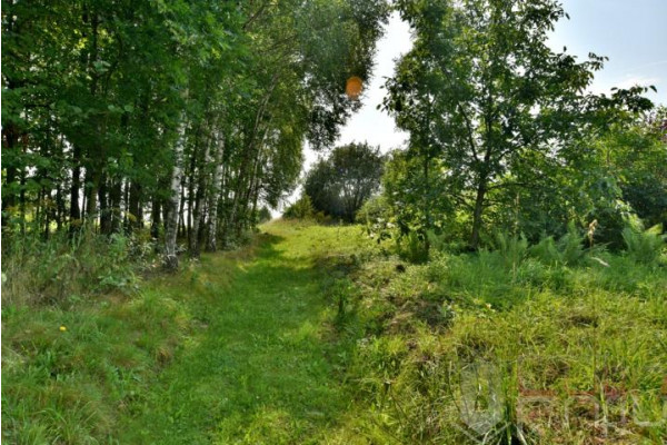 krakowski, Skawina, Polanka Hallera, Skawina Polanka Hallera 8ar budowlana pełne uzbrojenie