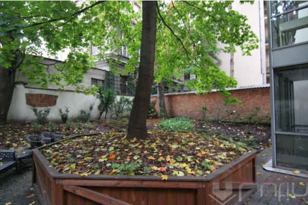 Krak&oacute;w, Stare Miasto, Henryka Siemiradzkiego, Do wynajęcia 32 m2--Uczelnie--Stare Miasto